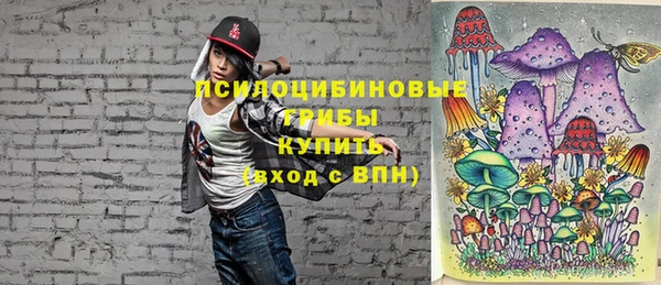 mdma Каменногорск