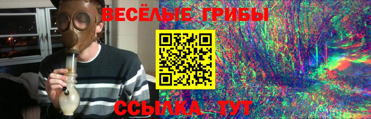 Галлюциногенные грибы Psilocybine cubensis  Псилоцибиновые грибы Cubensis  Вход с VPN  Йошкар-Ола 